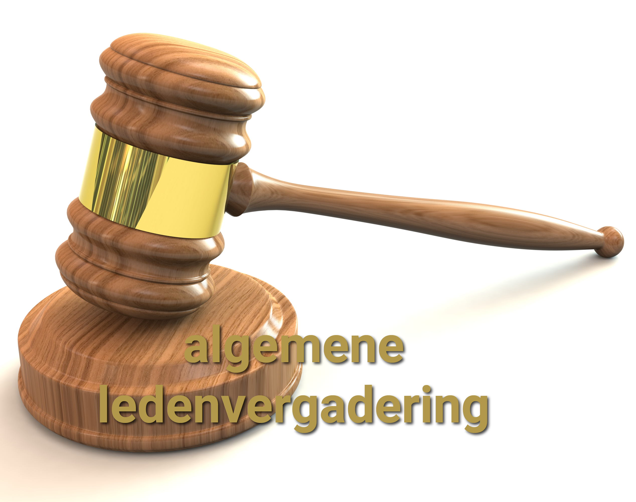 Algemene Leden Vergadering