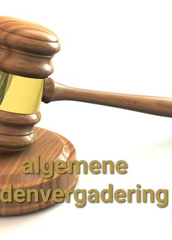 Algemene Leden Vergadering